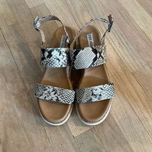 Steve Madden Snake Print T-Strap Sandals in Black and Cream